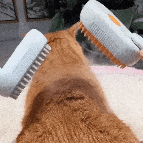 PeloOff™ | Cepillo a Vapor Quita Pelo